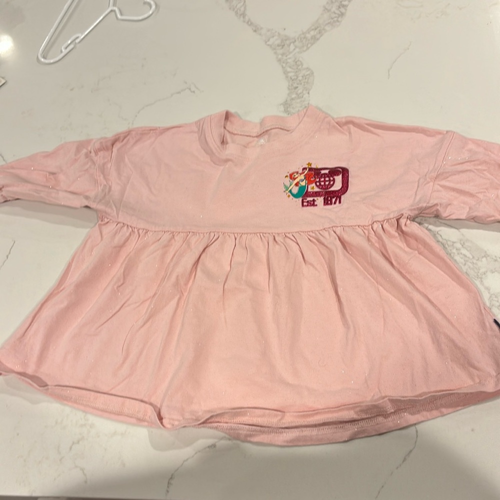 Walt Disney world Spirit Jersey